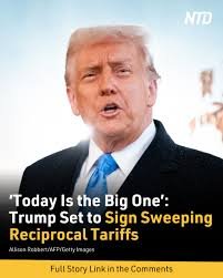 geek bar pulse Miami Mint